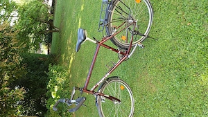 Citybike fast geschenkt Bild 3