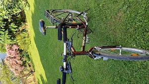 Citybike fast geschenkt Bild 2