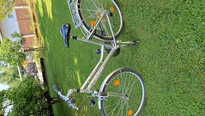 Damenfahrrad günstig abzugeben  Bild 2
