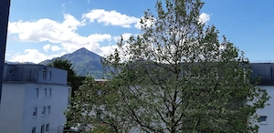 Dornbirn: 2-Zi-Wohnung ab sofort von Privat zu vermieten Bild 5