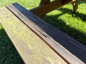 Sandkasten zu verschenken Bild 3