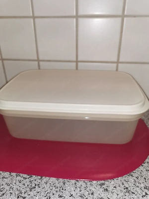 Tuperware Dose länglich 27x17x9 LxBxH