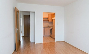 provisionsfrei 1Zimmerwohung mit Balkon Bild 4
