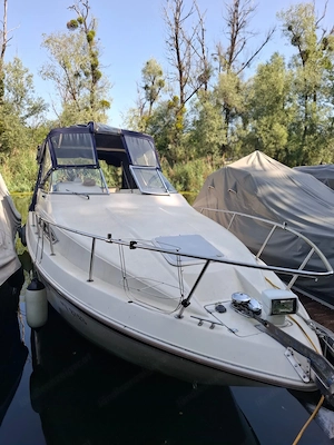 Motorboot mit Bodenseezulassung - Monterey 256 Classic Bild 2