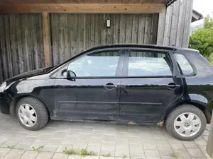VW Polo family 2008