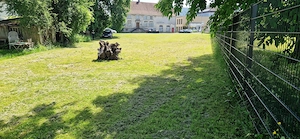 Verpachte Grundstück Zentrum Höchst zur Schweizergrenze Bild 3