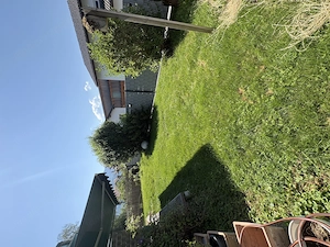 2,5 ZI Gartenwohnung in Dornbirn zu vermieten Bild 2