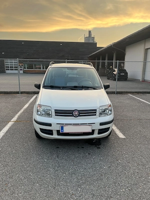 Fiat Panda 169 ; 1,2l ; 73tkm ; neu vorgeführt (bis 03 27) Bild 2