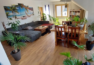 Sonnige 3-Zimmer Dachgeschosswohnung mit Bergblick zu vermieten Bild 10