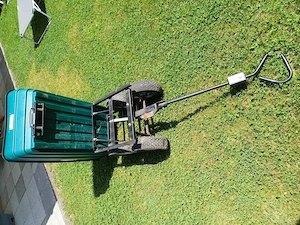 Buggy kart, Kippsnhänger,  Bollerwagen  Bild 5