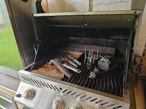 Napoleon Prestige P450 Gasgrill Bild 2