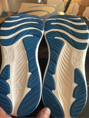 Asics Gel Windhawk 5 Bild 4