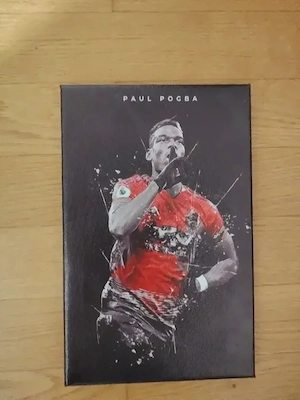 Pogba Bild Bild 2