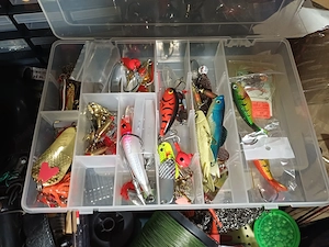 Rapala und Gummifsche  Bild 4