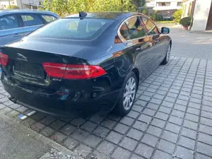 Jaguar XE Bild 5