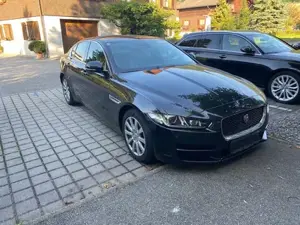 Jaguar XE Bild 4
