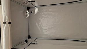 Growzelte Homebox Ambient Aufzuchtzelte Bild 4