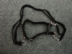 Hunde Zubehör  Bild 8