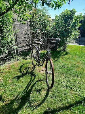 original PUCH Waffenrad