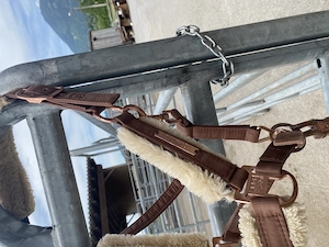 Fressbremse, Lamfellhandschuh , Halfter Cob Eskadron  Bild 6