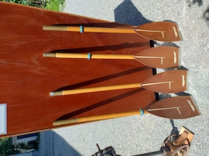 4 Holzruder Paddel Elbe Pilz Bild 4