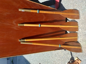 4 Holzruder Paddel Elbe Pilz Bild 3