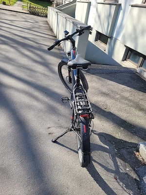 Herren E-Bike 29" Bild 4