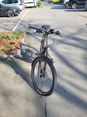 Herren E-Bike 29" Bild 5
