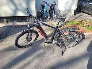 Herren E-Bike 29"