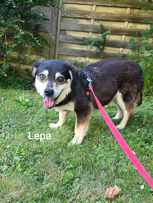 Lepi und Lepa - NOTFALL Österreich Bild 8