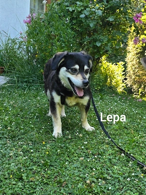 Lepi und Lepa - NOTFALL Österreich Bild 9