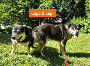 Lepi und Lepa - NOTFALL Österreich Bild 2