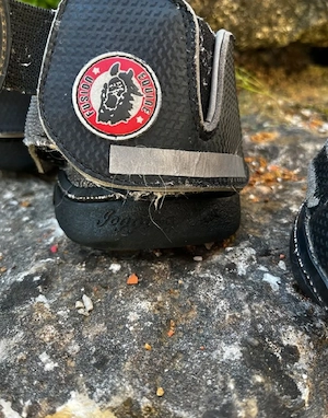 Shetty Hufschuhe Gr. 8 Equie Fusion Jogging Shoe .  Bild 5