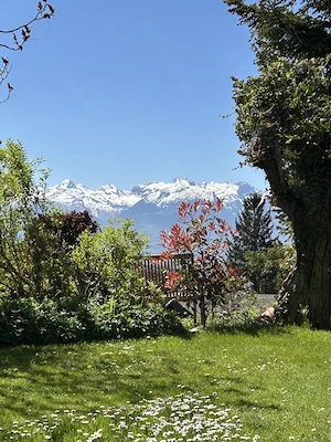 2 - Zimmer - Gartenwohnung mit Terrasse in Feldkirch-Tisis Bild 5
