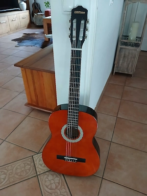 Gitarre mit Sack Bild 4