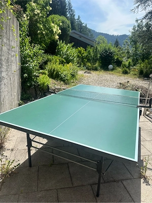 Tischtennisplatte zu verschenken Bild 3