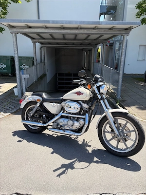 Harley Davidson 883 XLH Bj.90 Bild 2