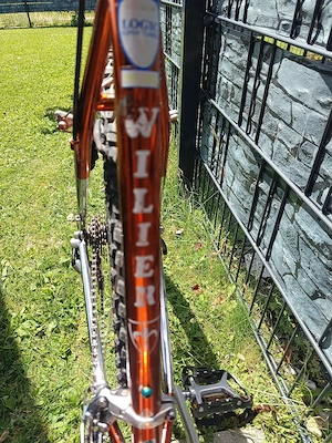 Mountainbike Willier Trestina Champion d' Italia  Bild 5