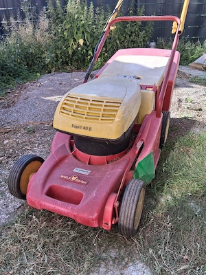 Rasenmäher Bild 4