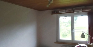 Haus mit Bodensee-Blick: Garten, öV 8 Min., Home office. Bild 3