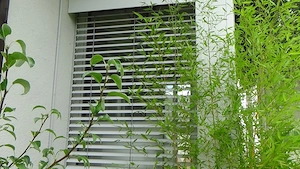 Haus mit Bodensee-Blick: Garten, öV 8 Min., Home office. Bild 2
