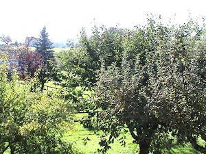 Haus mit Bodensee-Blick: Garten, öV 8 Min., Home office. Bild 8