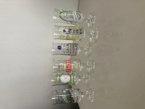6 Ritzenhoff Gläser 