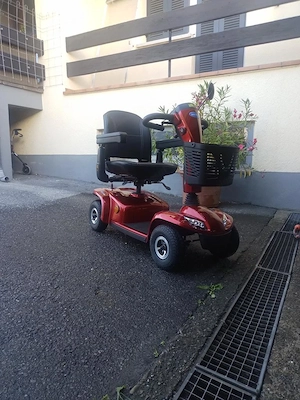 Seniorenmobil Leo