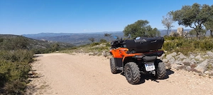 Quad CF 450 L Bild 4