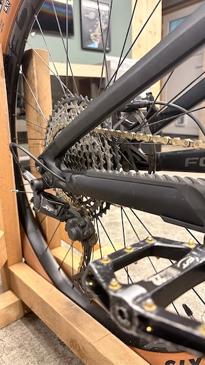 E-Mountainbike Marke FOCUS Bild 3