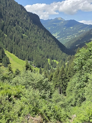 Mietwohnung im Montafon gesucht.