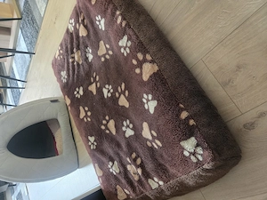 2 hundebetten zu verschenken Bild 3