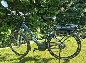 E-Bike Pegasus Solara E8 Bild 3