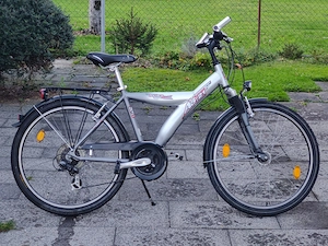 Pegasus City- Trekkingrad 26 Zoll Bild 2